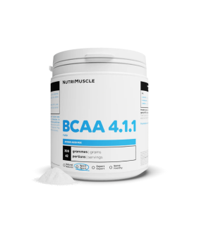 BCAA 4.1.1 CONSTRUCTEUR -...