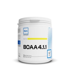 BCAA 4.1.1 CONSTRUCTEUR -...