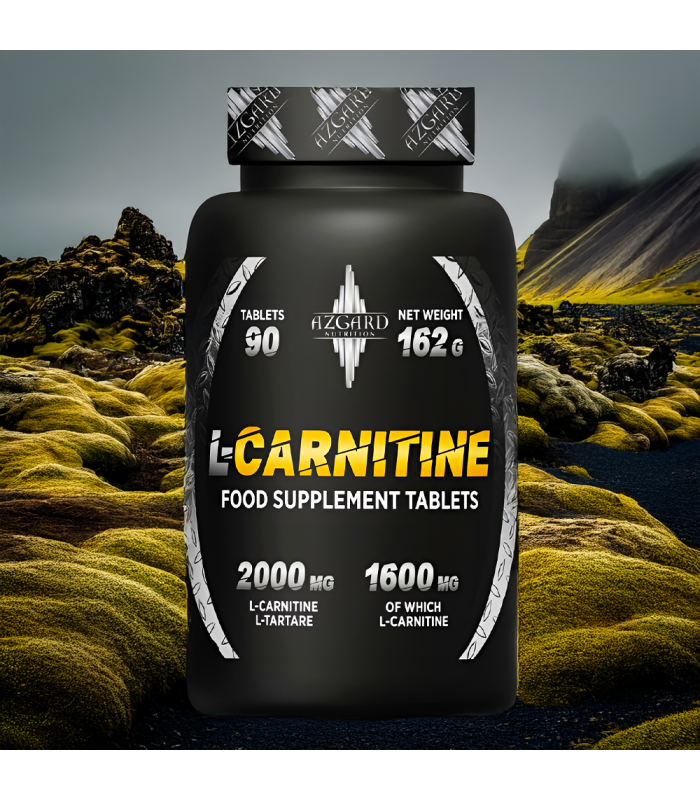 L-CARNITINE (90 CAPS) - AZGARD NUTRITION